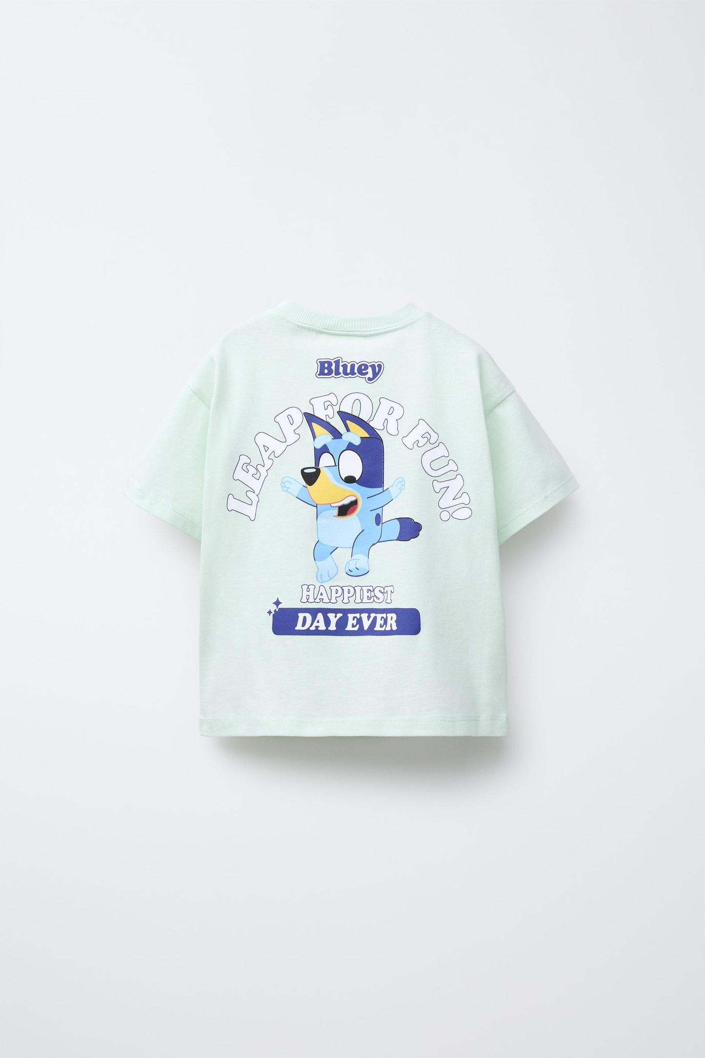 Conjunto bluey