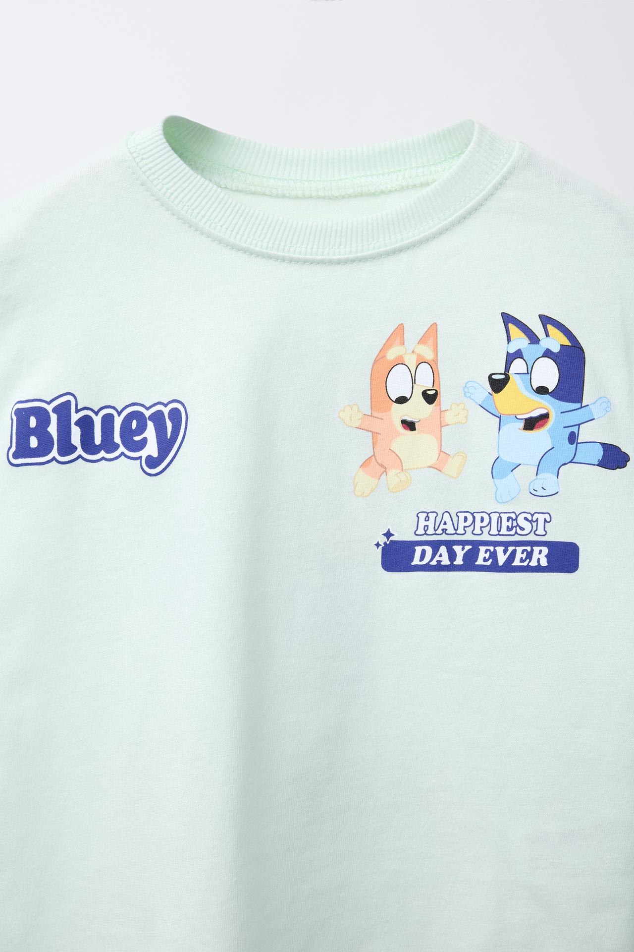 Conjunto bluey