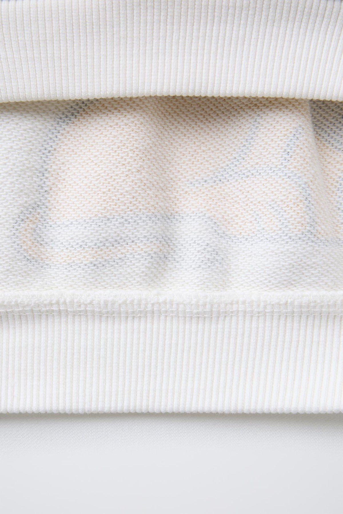 Sudadera estampado leones