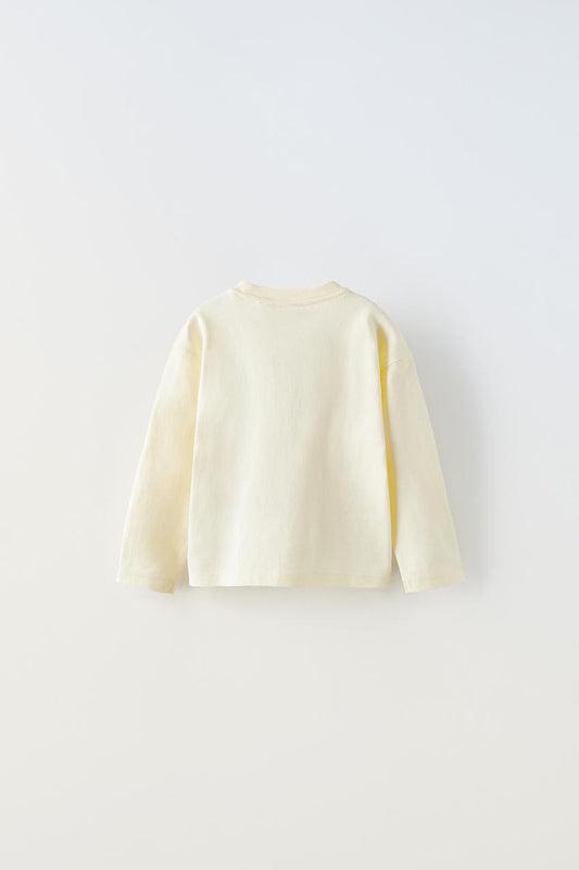 Polera mangalarga pokemon