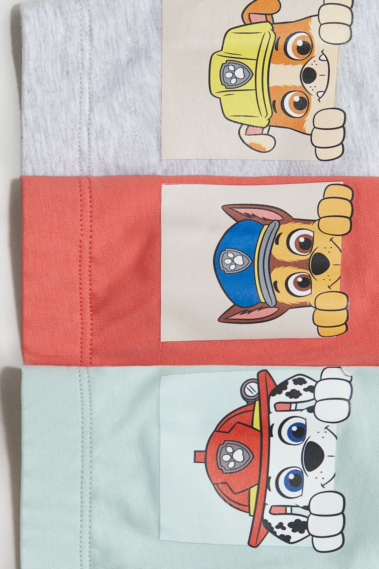 Pack de 5 boxer Paw Patrol