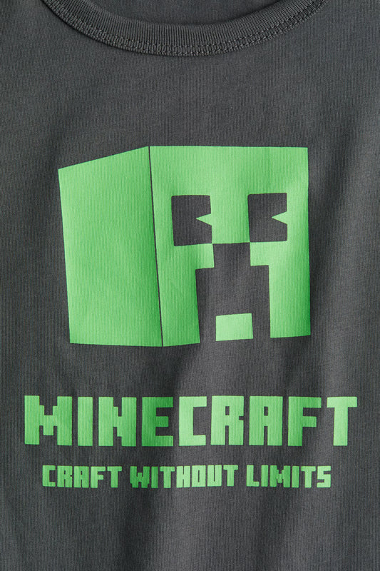 Polera minecraft
