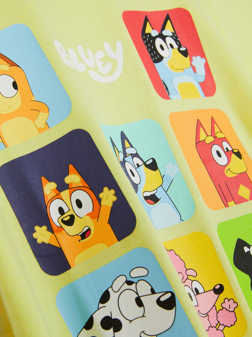 Polera bluey