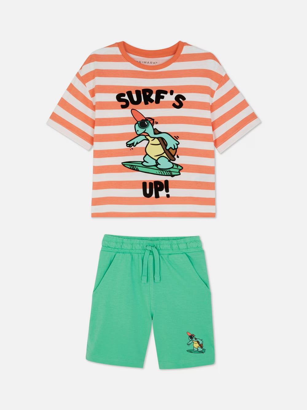 Conjunto tortuga surf