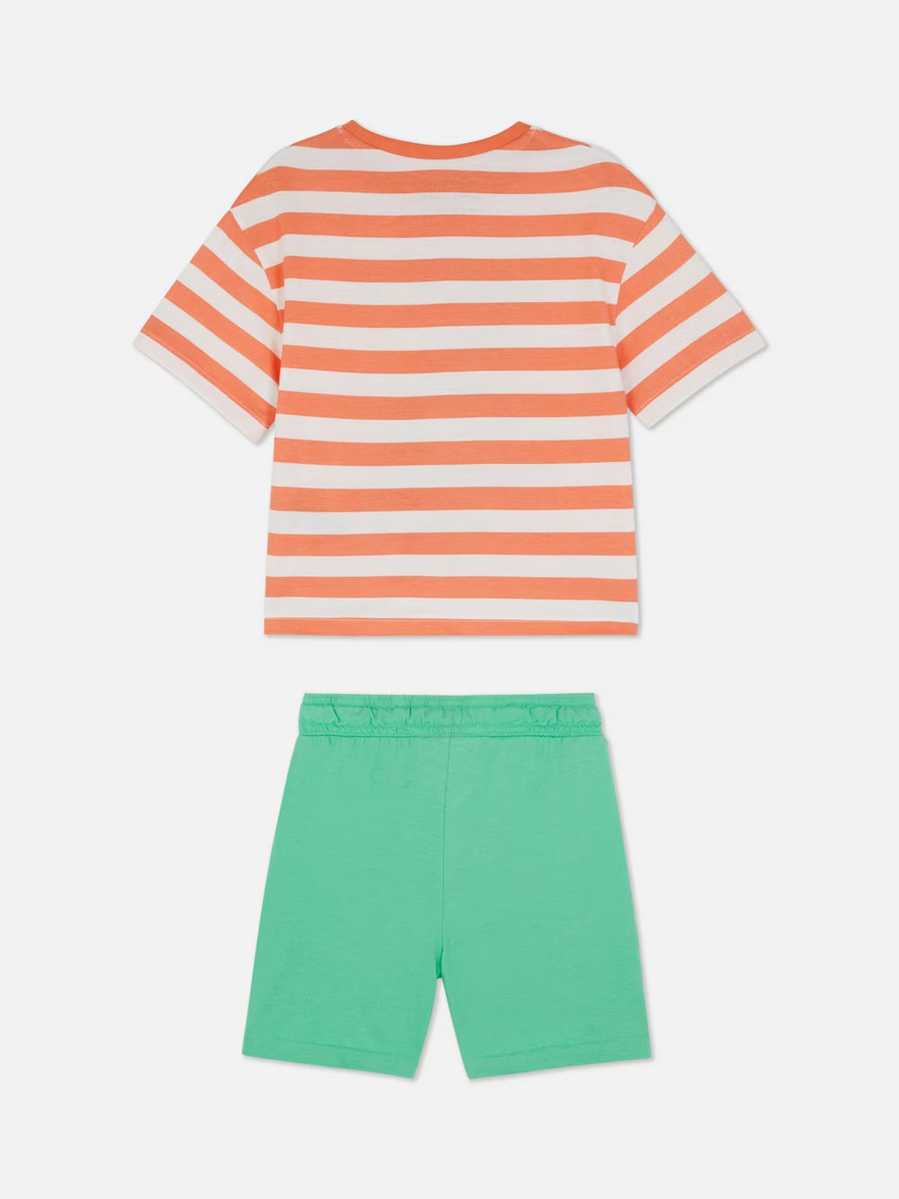 Conjunto tortuga surf