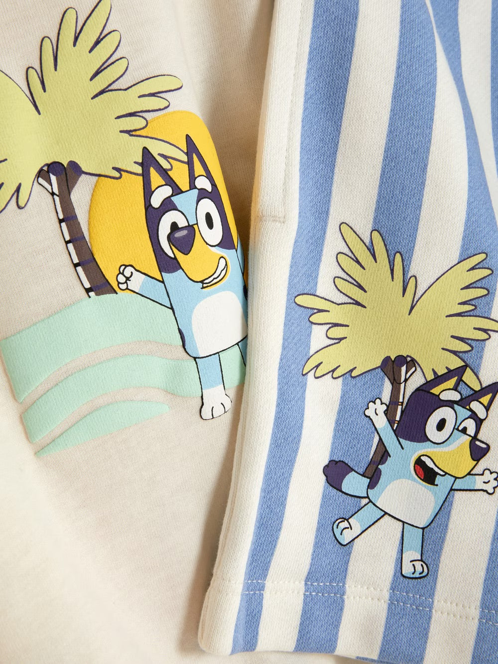 Conjunto bluey