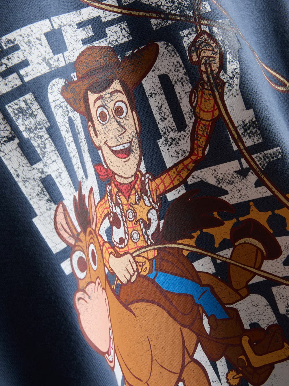 Polera toy story woody