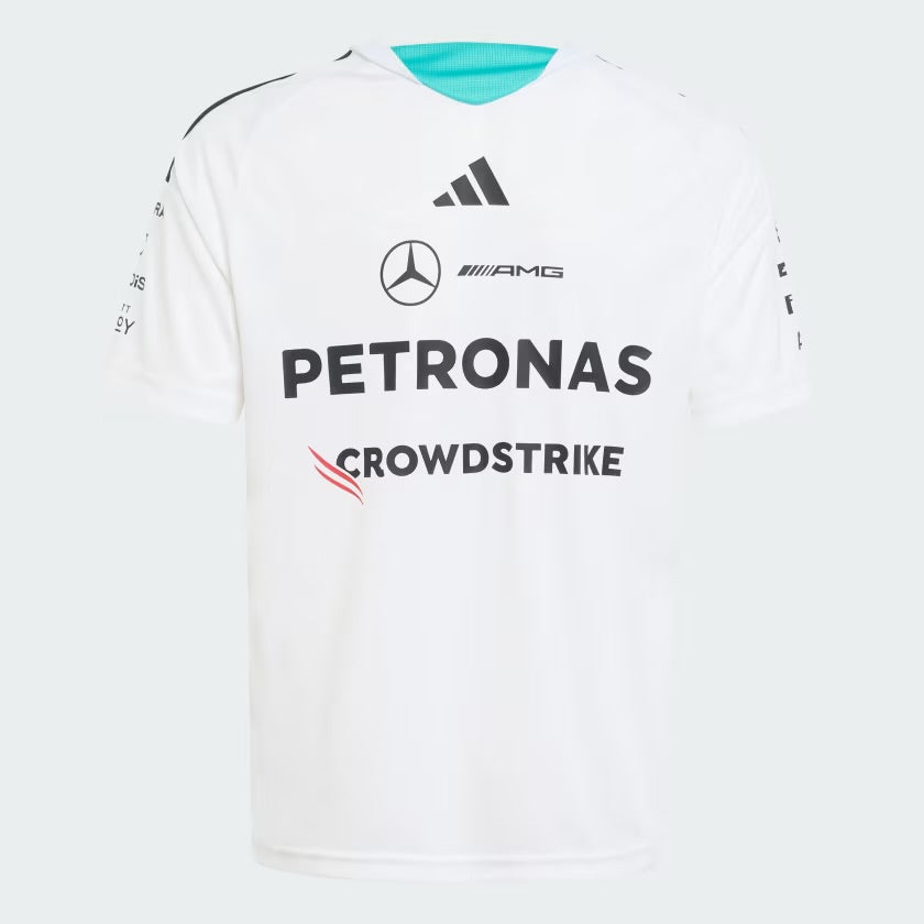 Polera mercedes petrona