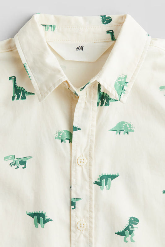 Camisa dinosaurio