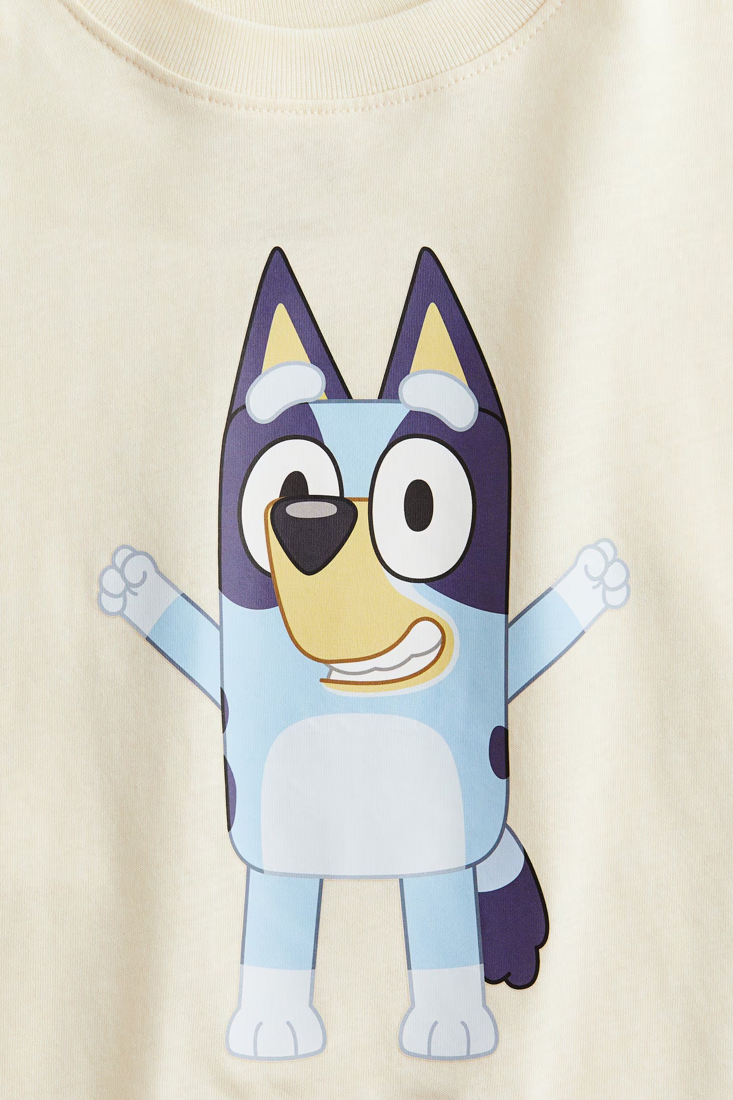 Polera bluey