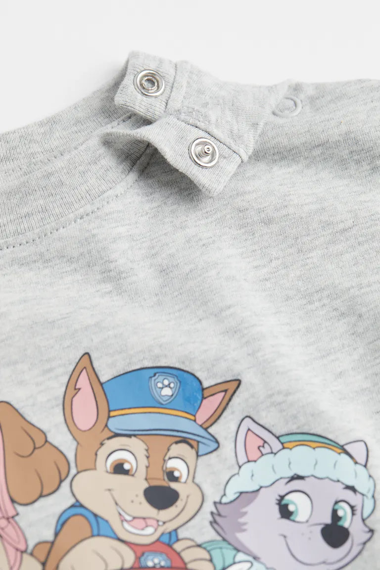 Conjunto paw patrol
