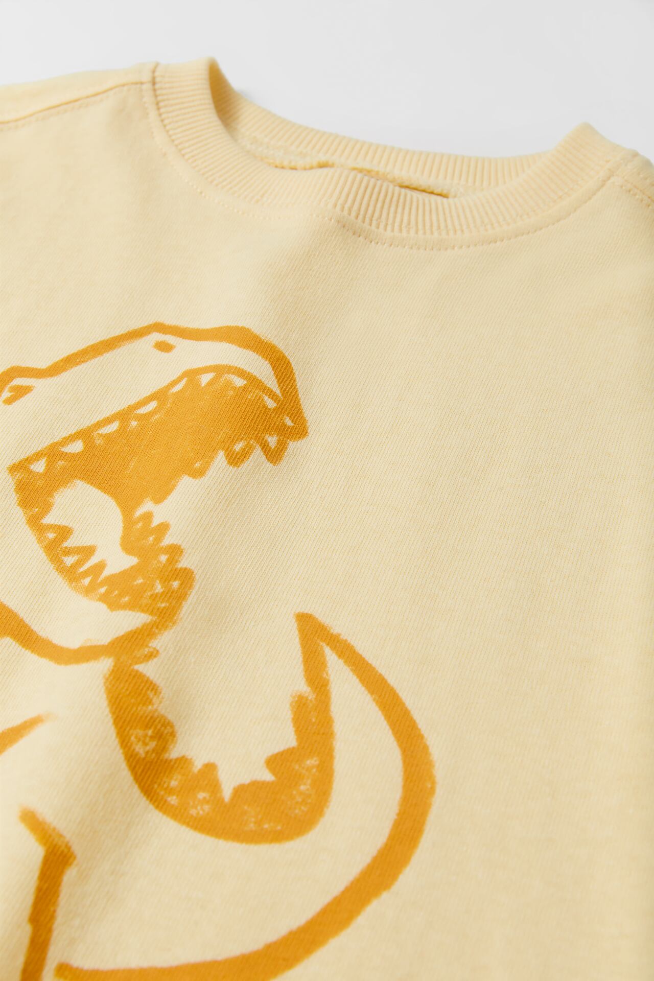 Polera dinosaurio