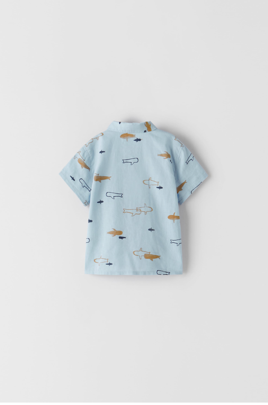 Camisa Ballenas