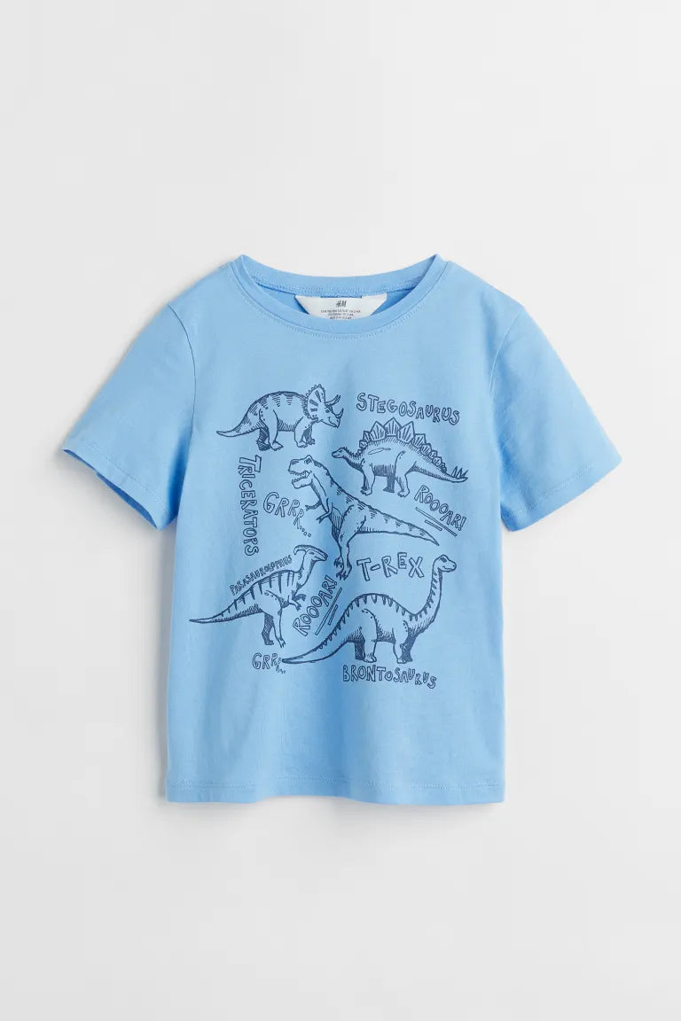 Polera dinosaurio