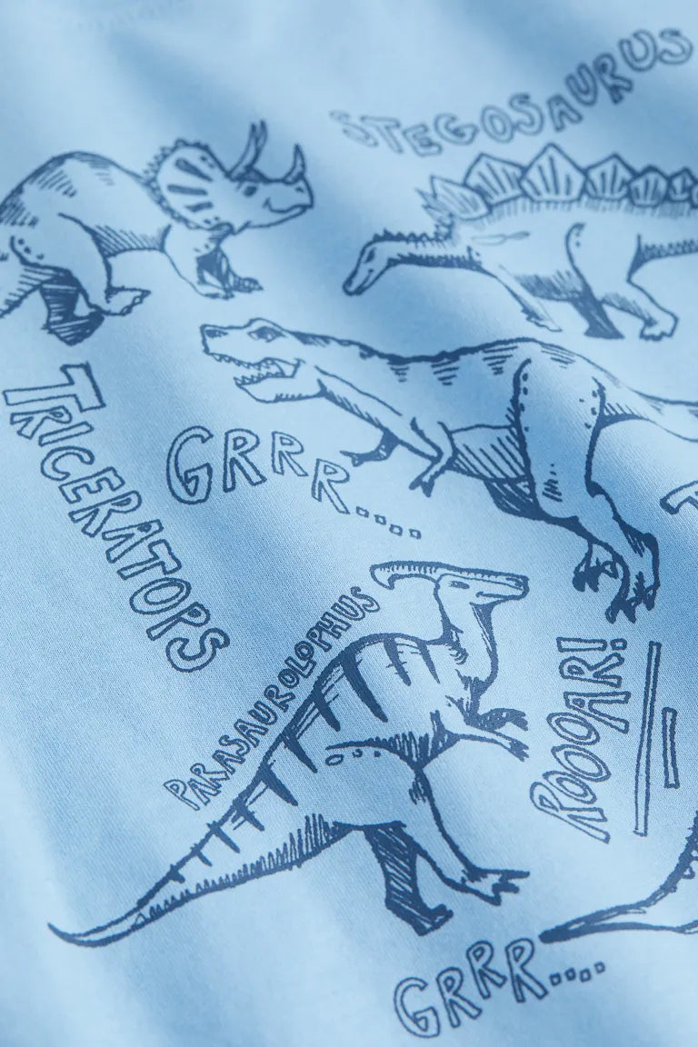 Polera dinosaurio