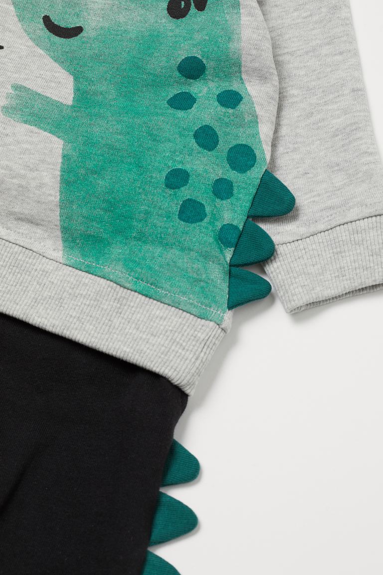 Conjunto Dinosaurio