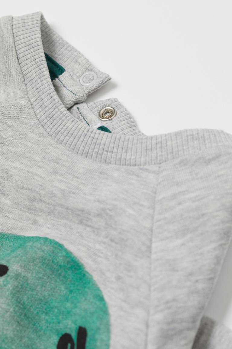 Conjunto Dinosaurio