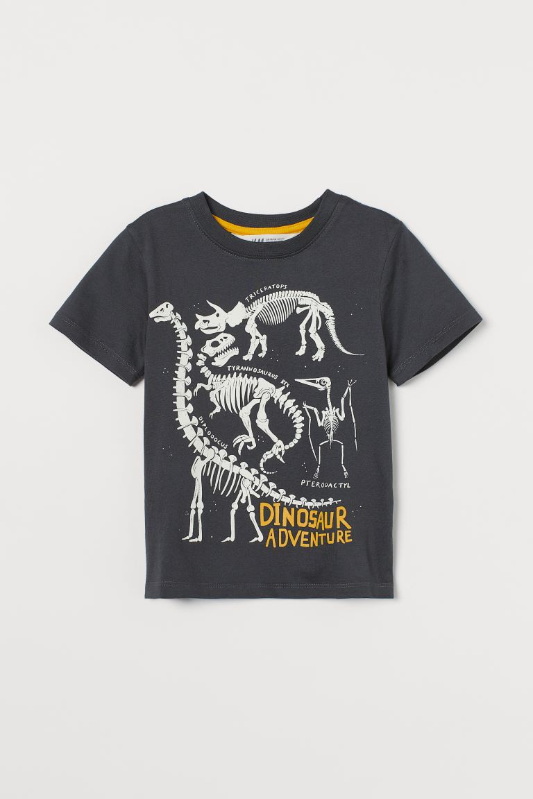 Polera Dinosaurio