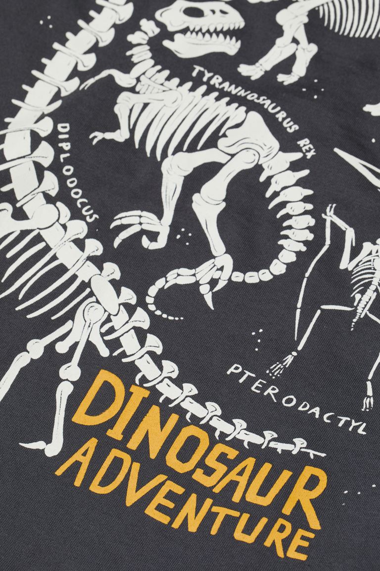 Polera Dinosaurio