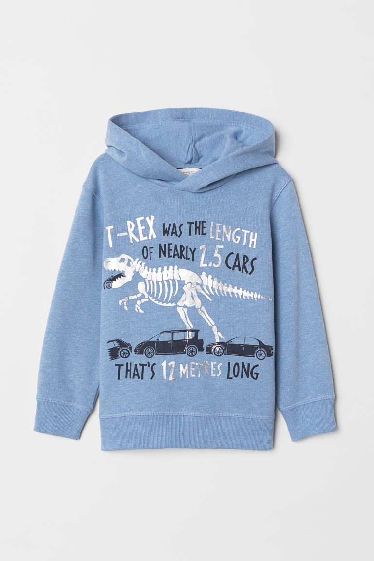 Sudadera Dinosaurio