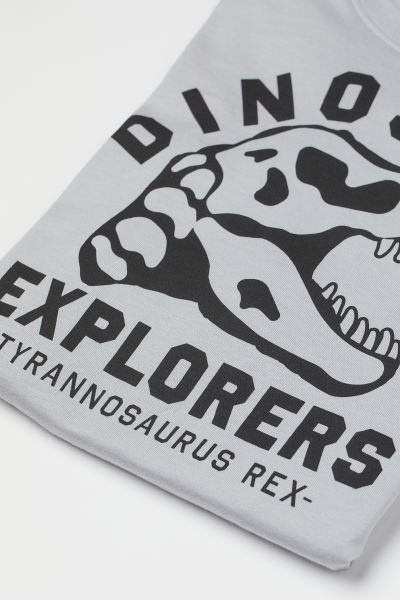 Polera Dinosaurio