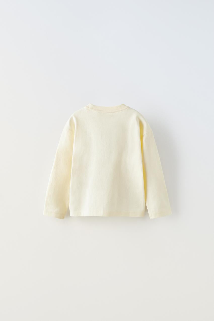 Polera mangalarga pokemon