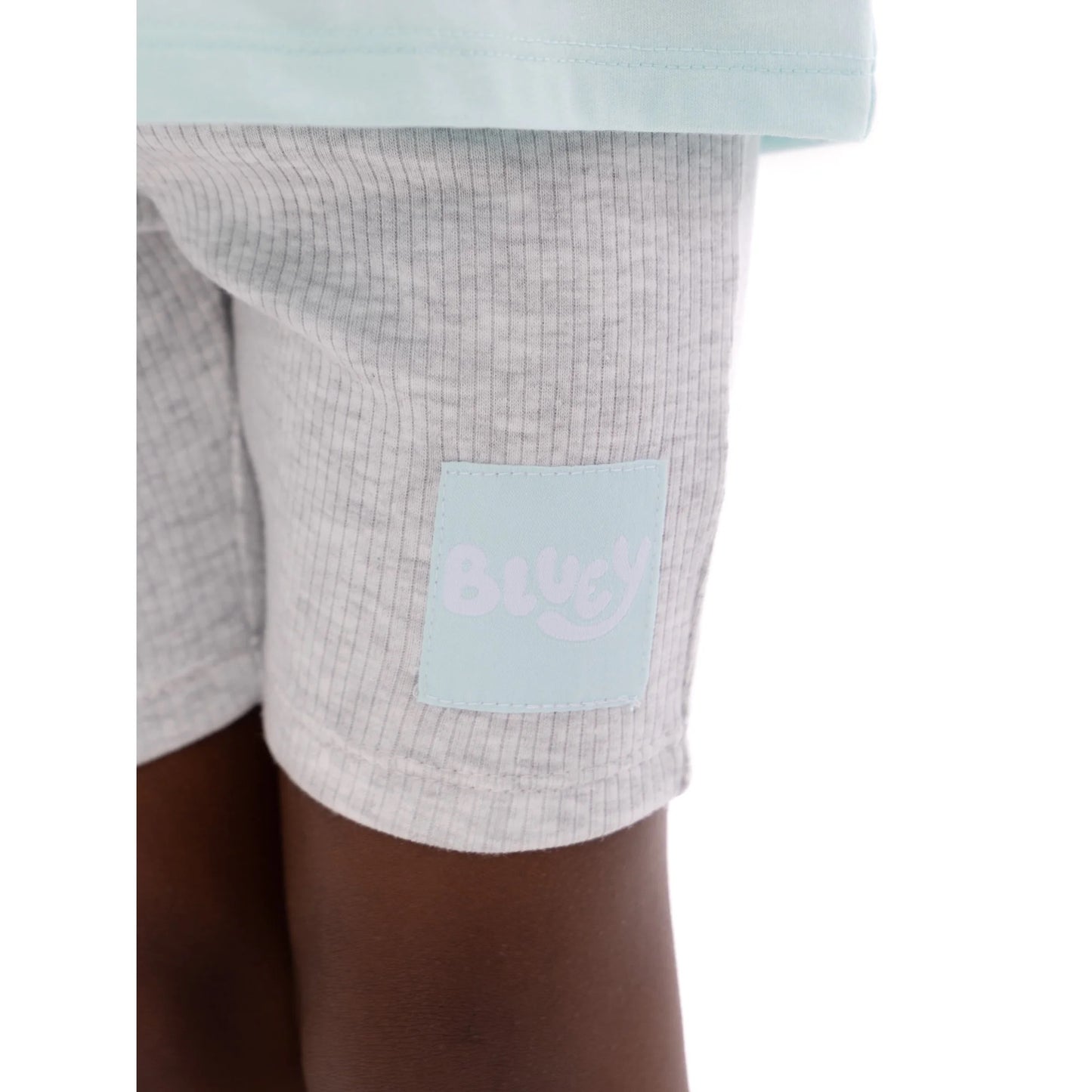 Conjunto bluey