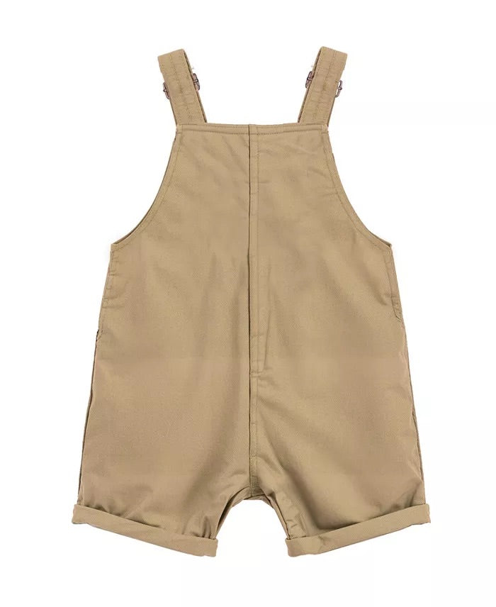 Conjunto rey leon