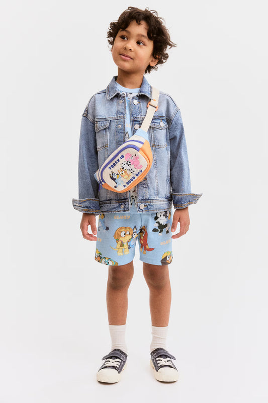 Conjunto bluey