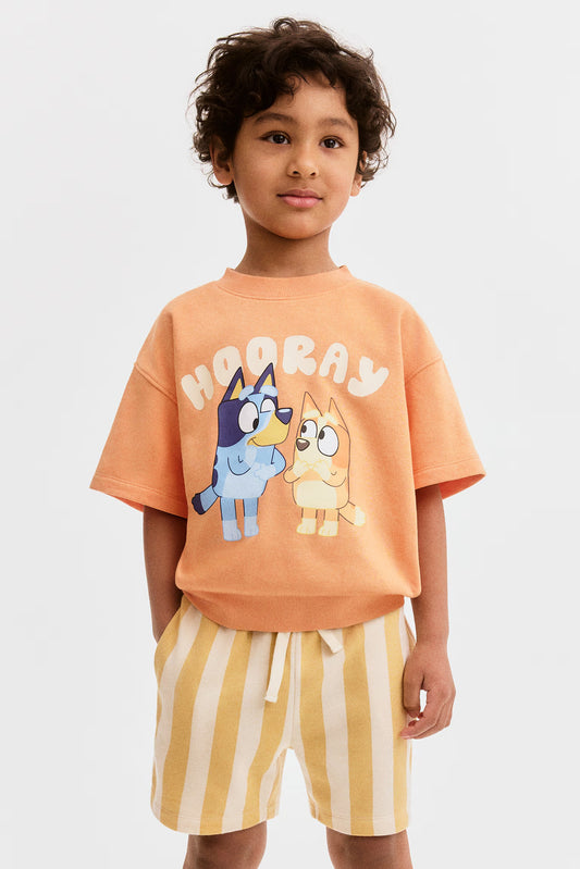 Conjunto bluey