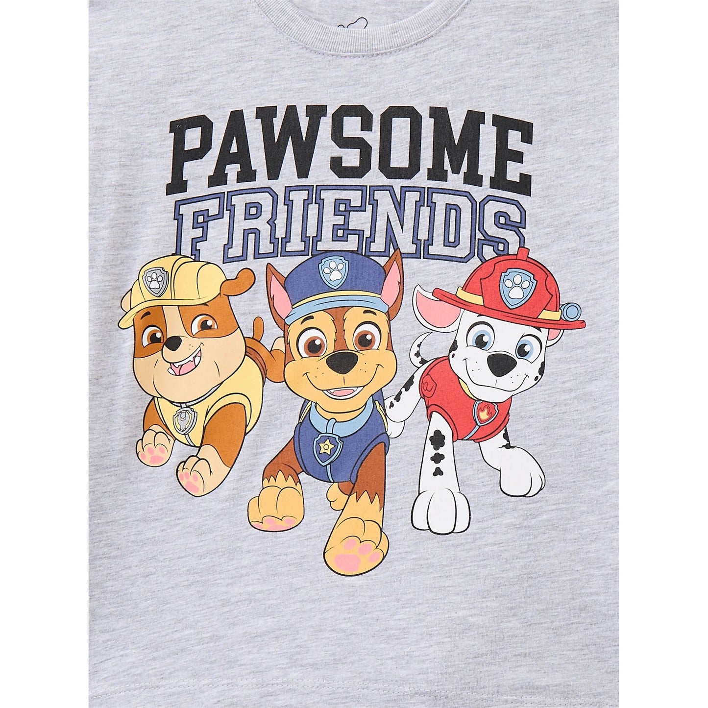 Conjunto paw patrol