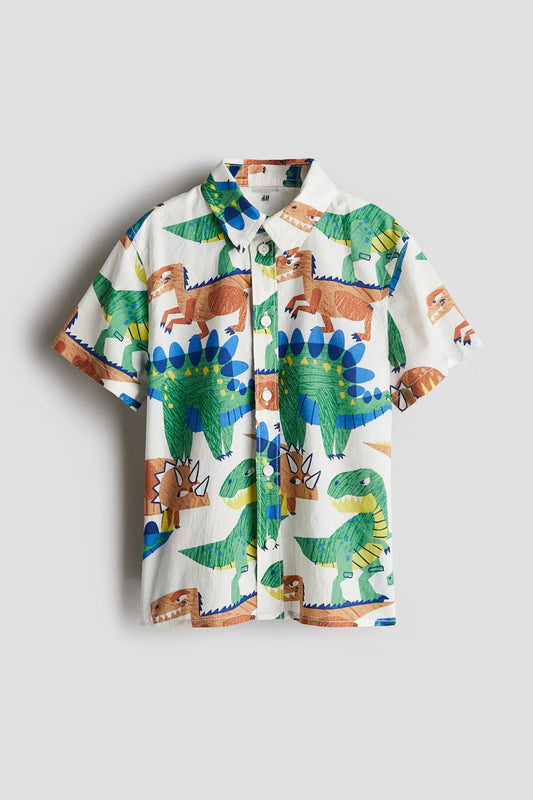 Camisa dinosaurio
