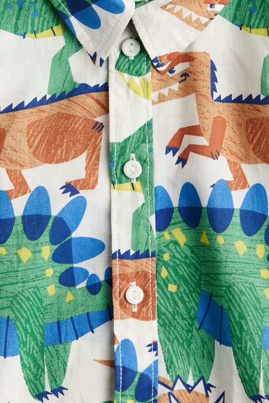 Camisa dinosaurio