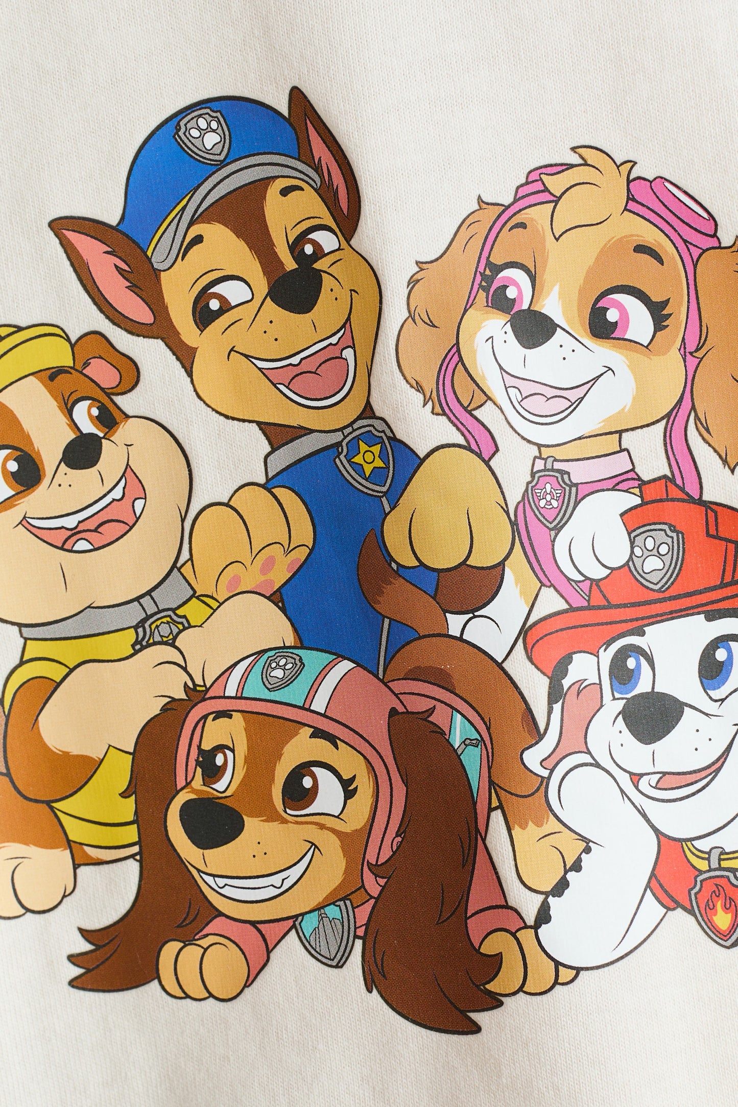 Polera paw patrol