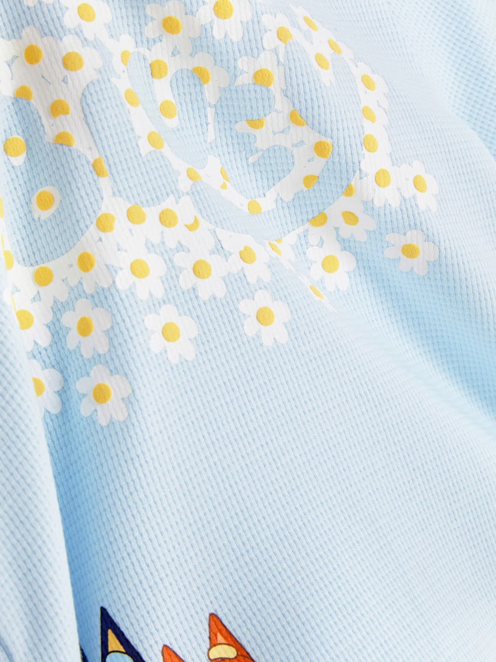 Polera bluey
