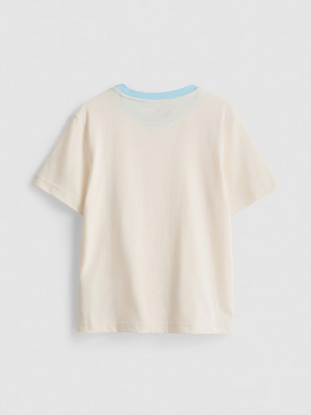 Polera bluey
