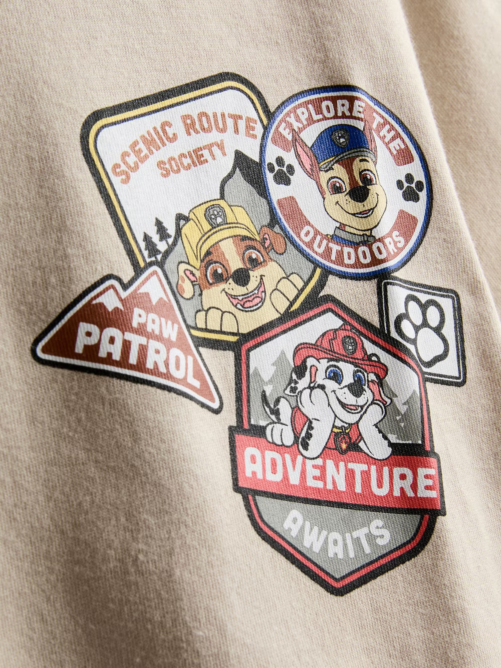 Polera paw patrol