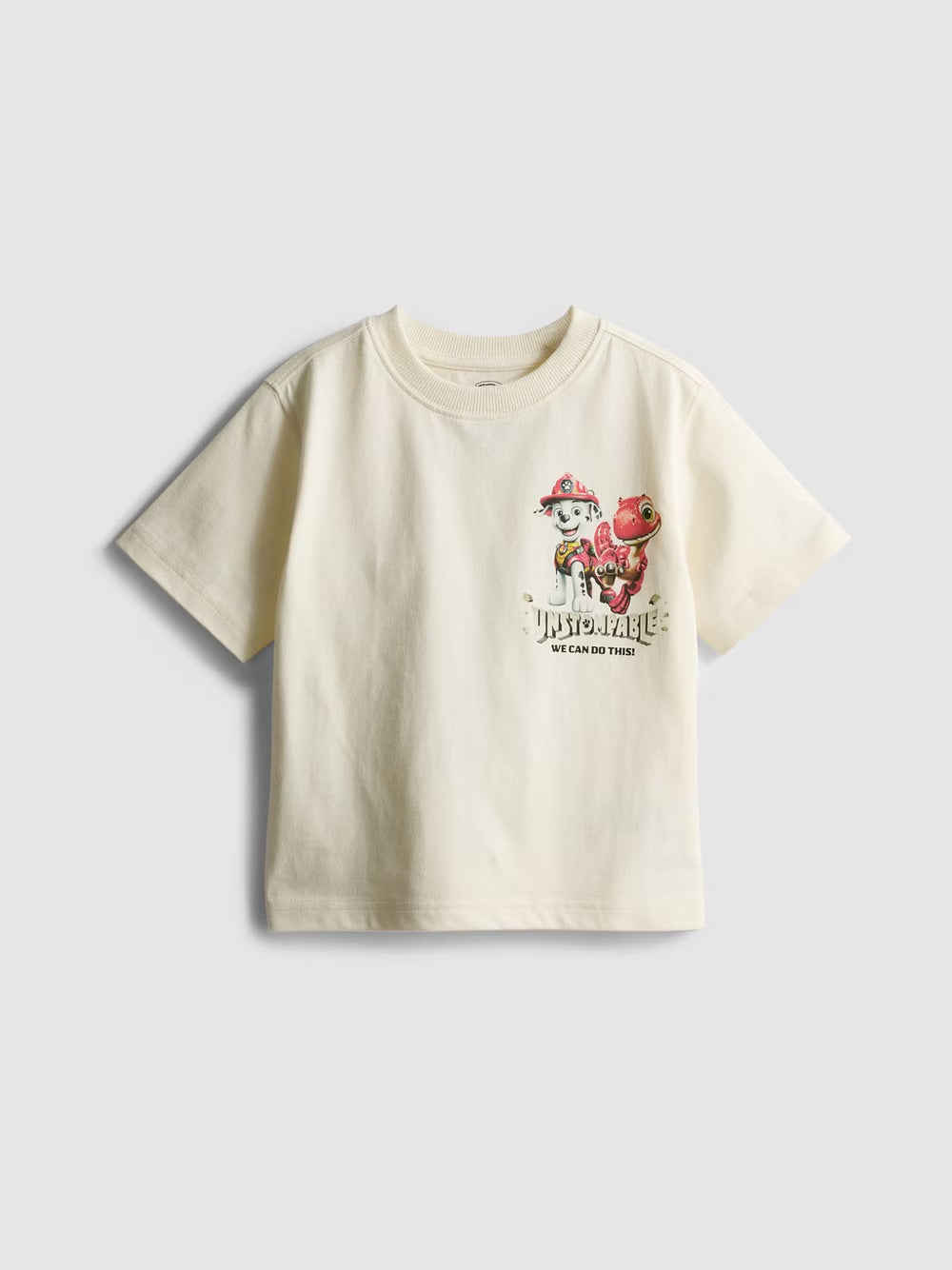Polera paw patrol