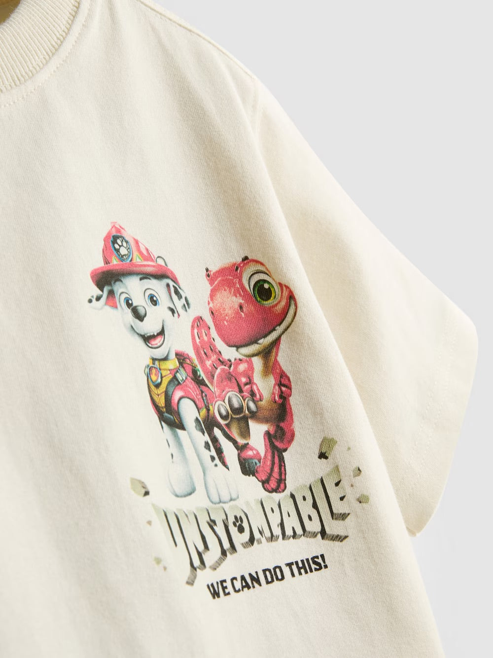 Polera paw patrol