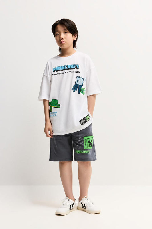 SET MINECRAFT