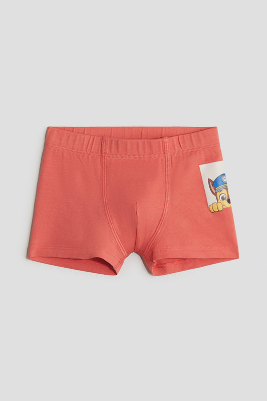 Pack de 5 boxer Paw Patrol