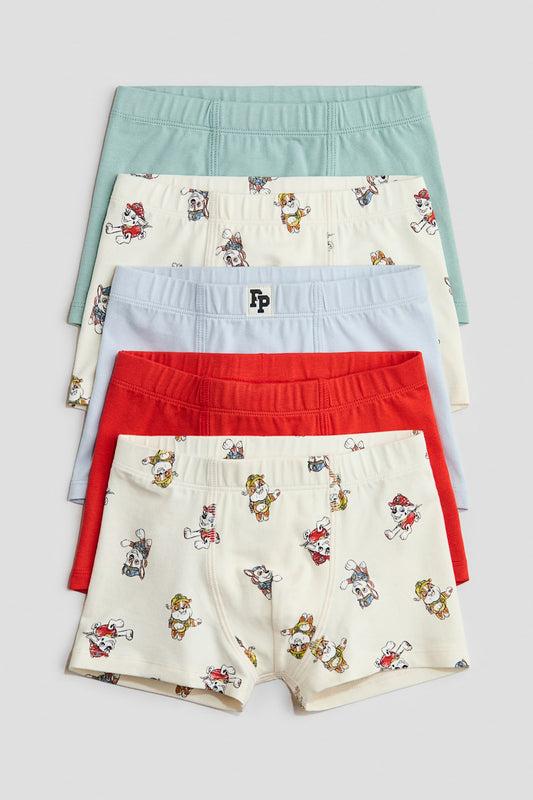 Pack de 5 boxer paw patrol