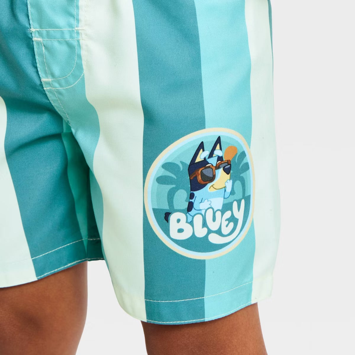 Conjunto piscina bluey