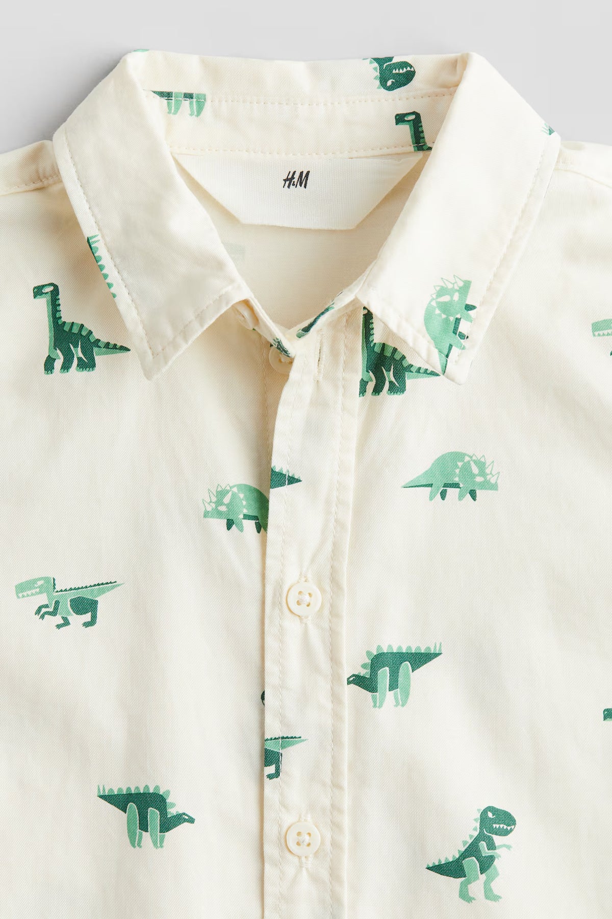 Camisa dinosaurio