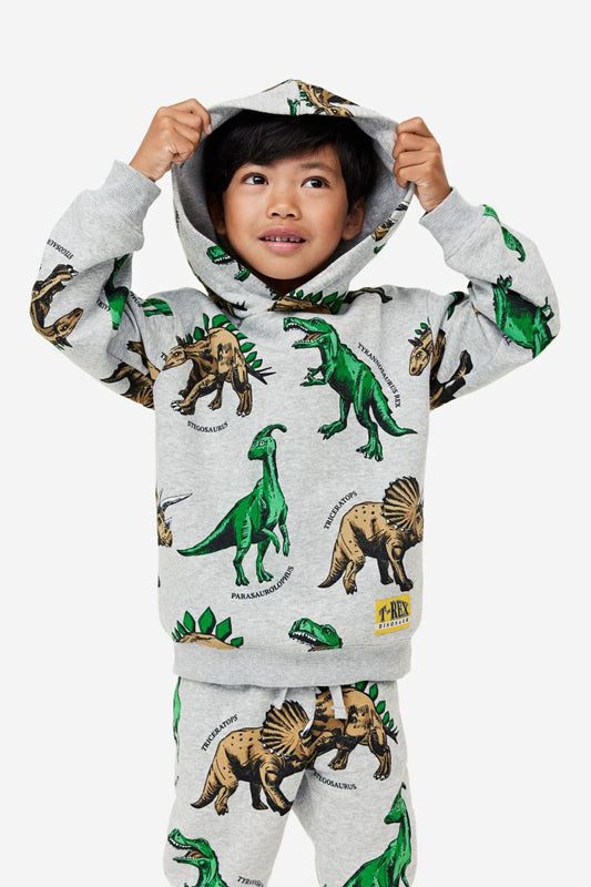 Sudadera T-rex