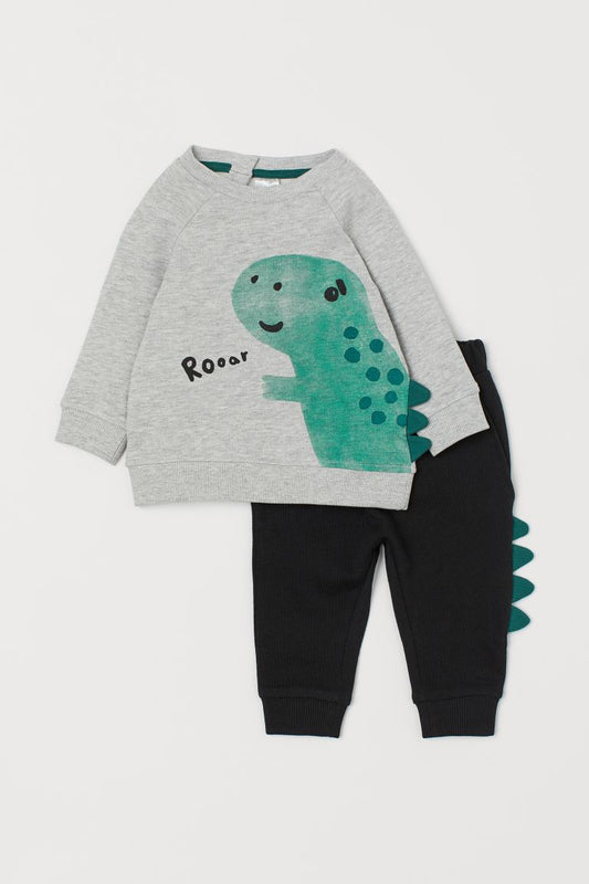 Conjunto Dinosaurio