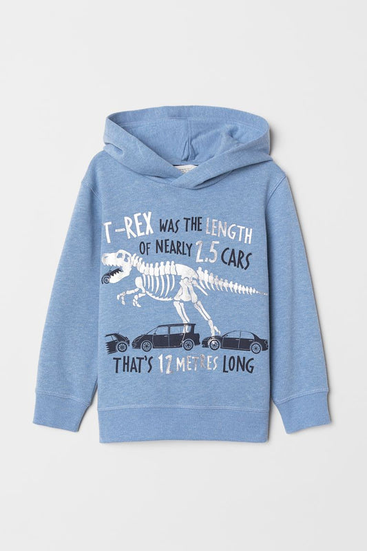 Sudadera Dinosaurio